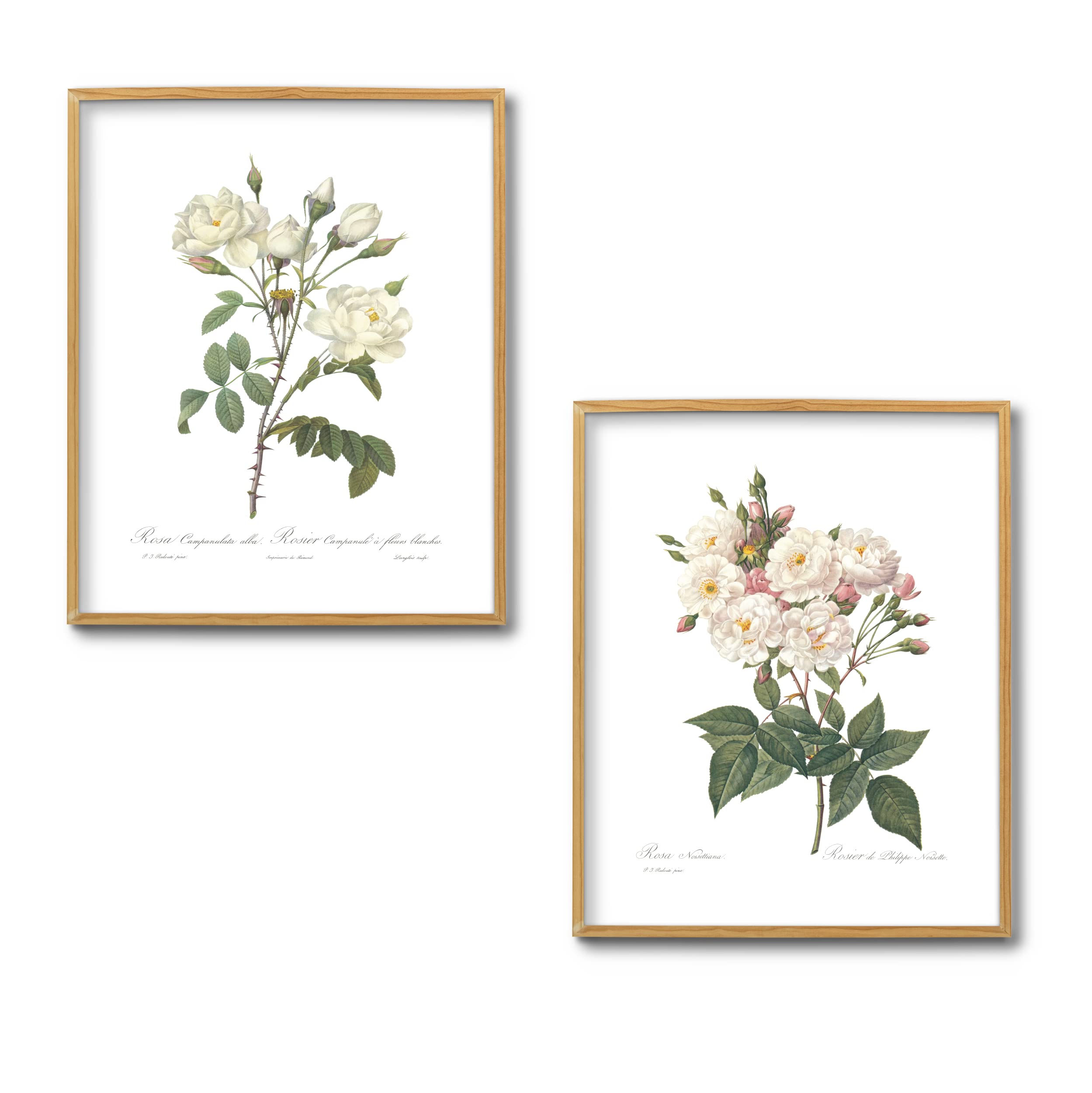 花*花直筆サイン色紙&FOOT PRINT〜花*花WORKS 2000-2003 花文字＊ミニ色紙 その他アート seiran 通販 13352503｜Creema